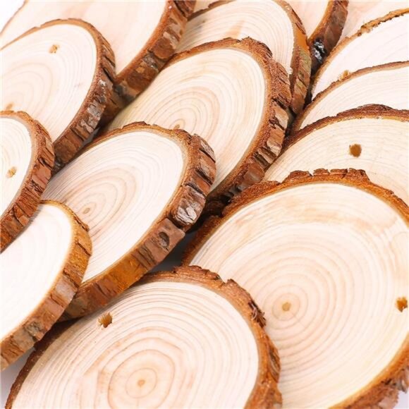 Wood Slices 25 Pcs 3.1-3.5 Inches Craft Wood Kit Unfinished Predrilled - Picture 4 of 7